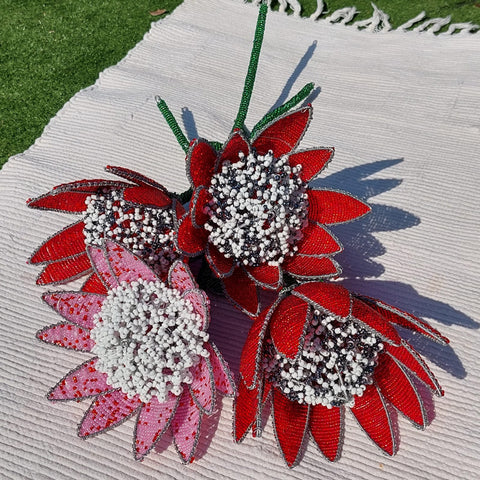 Proteas - Beaded by hand
