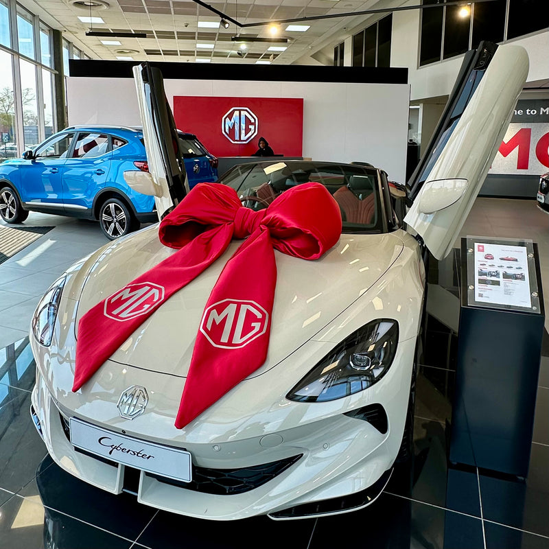 Brand new!  Luxury Satin Bows for Cars, Events and Activations