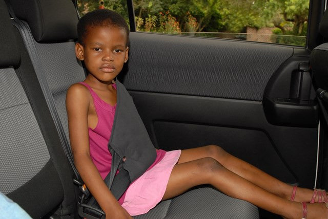 Secure-A-Kid Safety Seatbelt Harness