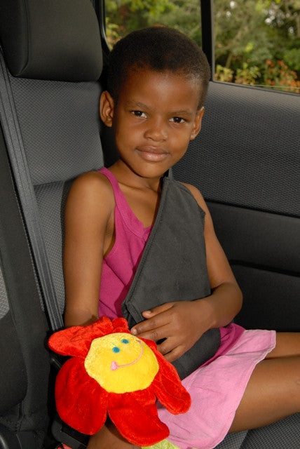 Secure-A-Kid Safety Seatbelt Harness