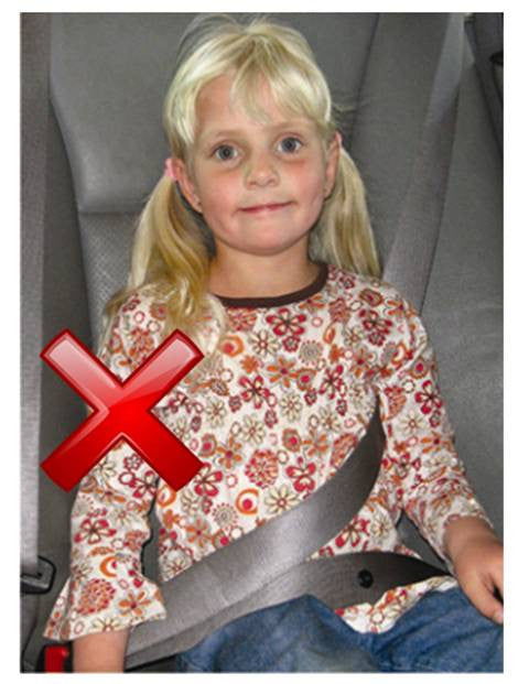Secure-A-Kid Safety Seatbelt Harness