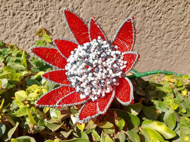 Beaded Wire Protea
