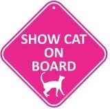 Create your Own On Board Sign