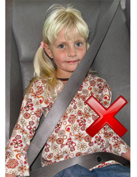 Secure-A-Kid Safety Seatbelt Harness